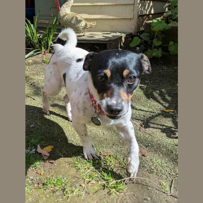 Photo of Mabel Uffelman  