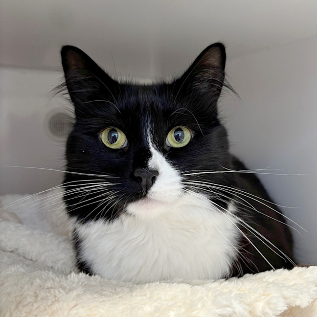 Photo of Luna Rsua011173