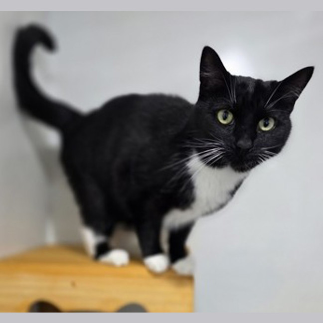 Photo of Delilah