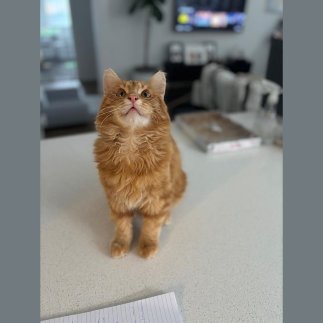 Photo of Sir Jerry