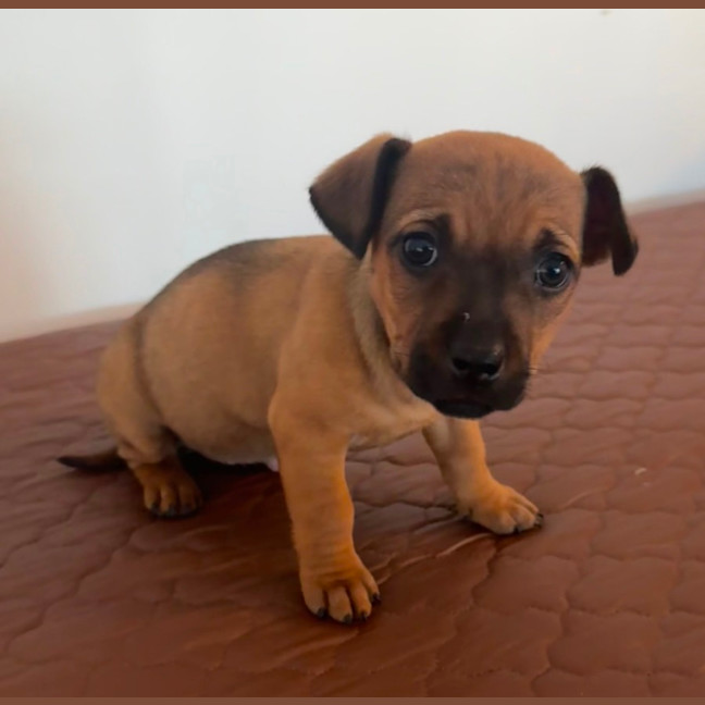 Photo of Crystal & Echo