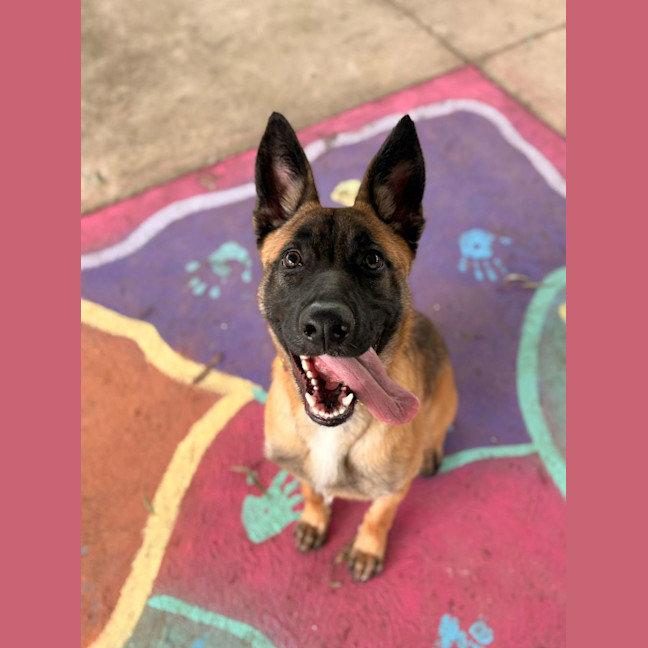 Photo of Delta