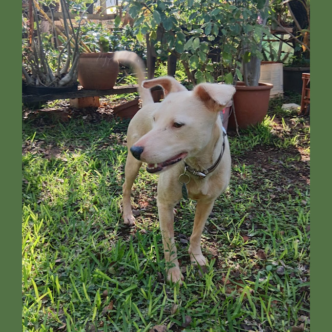 Photo of Jax