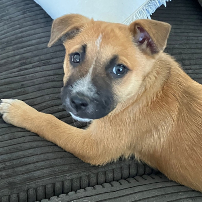 Photo of Eli