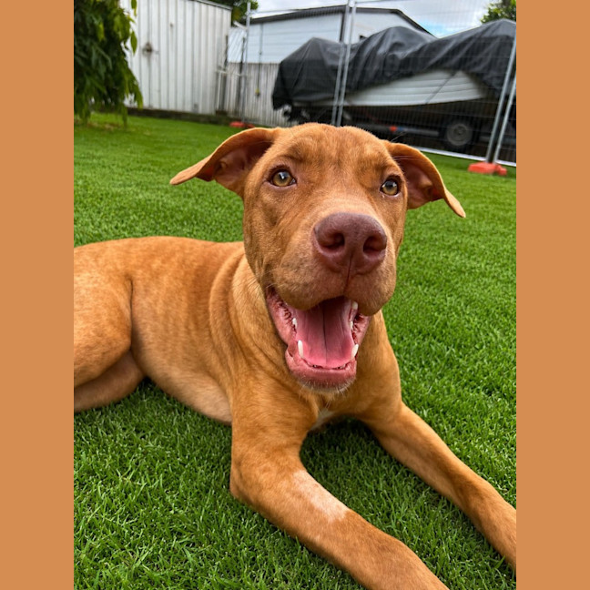 Photo of Zara