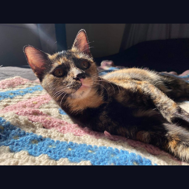 Photo of Narla