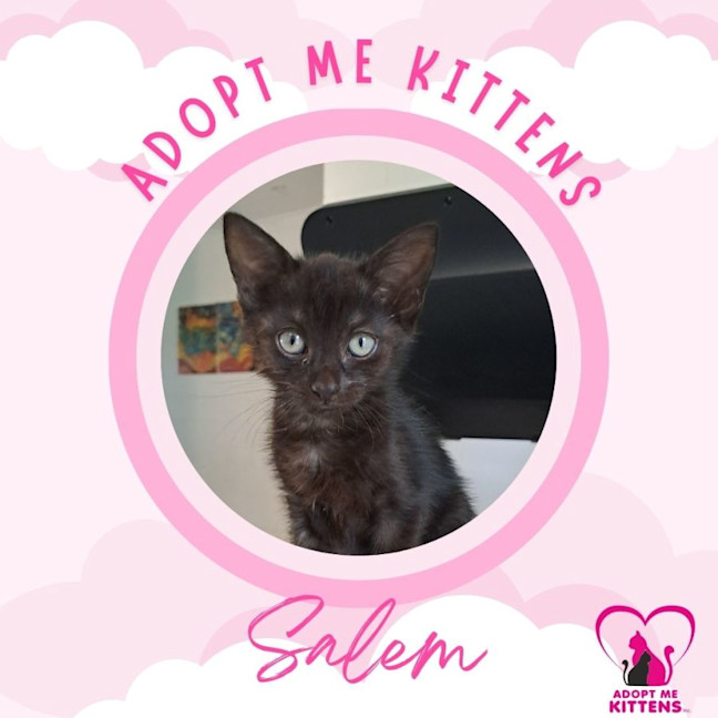 Photo of Salem