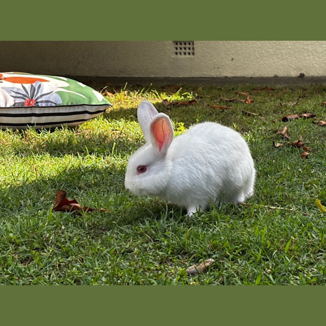 Photo of Sleepy