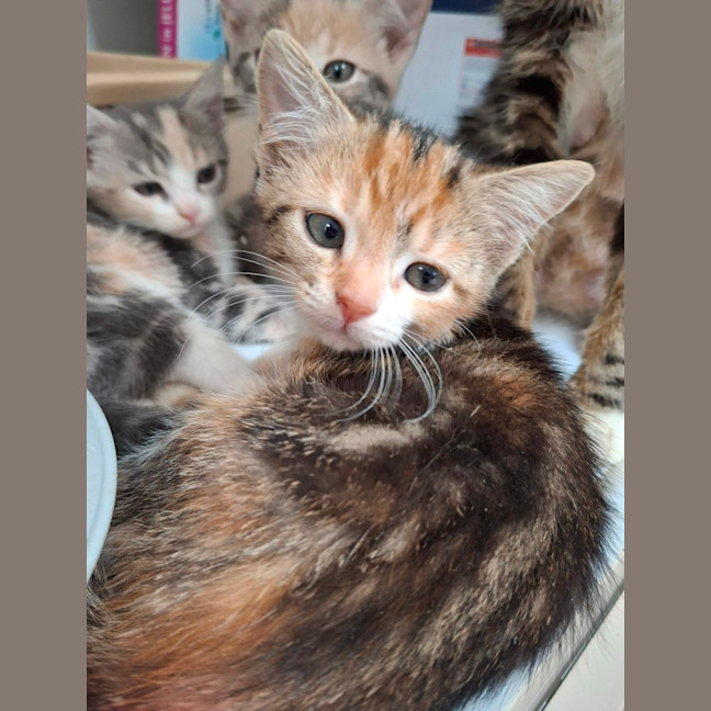 Photo of Helsinki (9961)