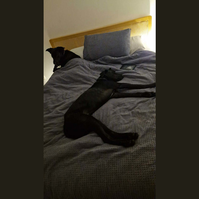Photo of Tex