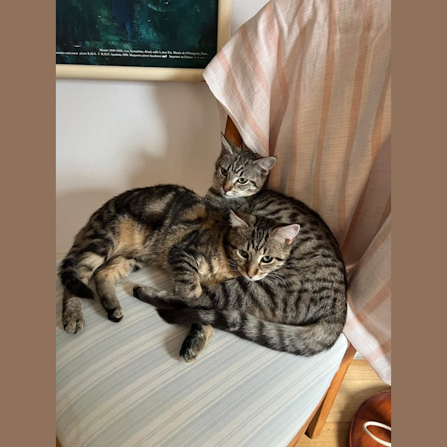 Photo of Franklin & Linden 