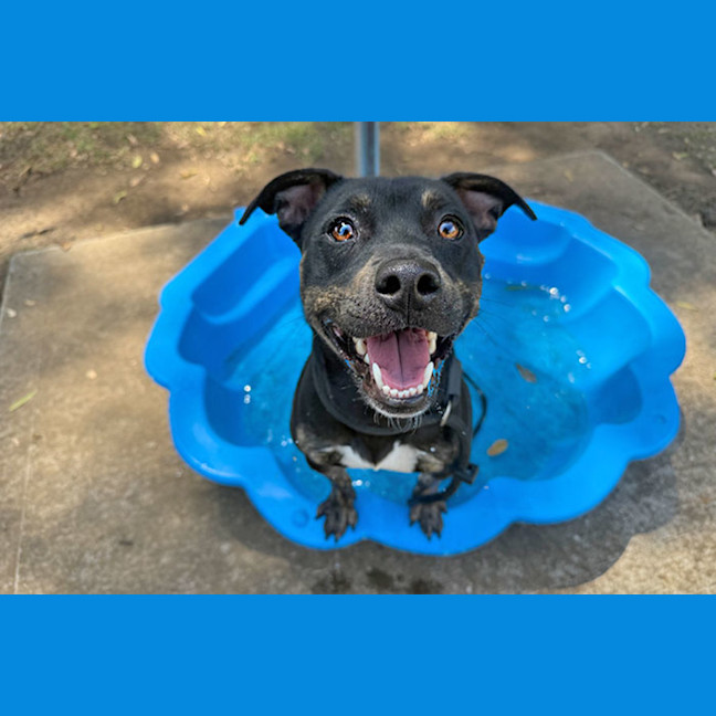 Photo of Kokomo