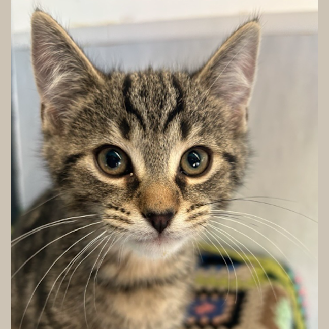 Photo of Mr. Wiggle