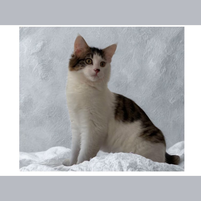 Photo of Hallie