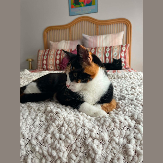 Photo of Katie