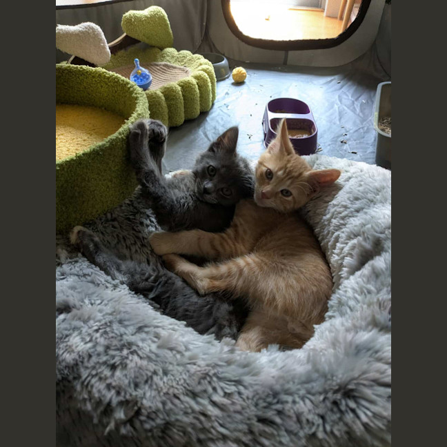 Photo of Jack & Ash
