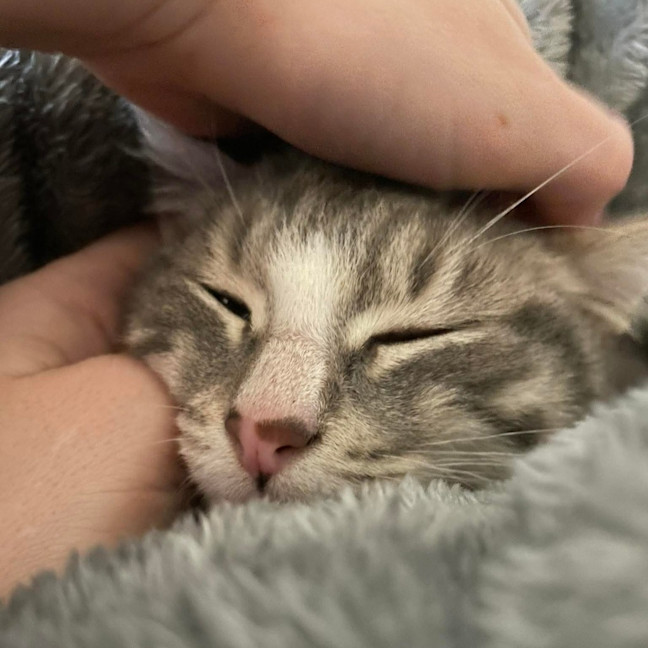 Photo of Matilda