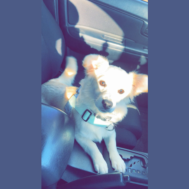 Photo of Whisky