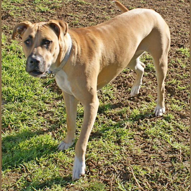 Photo of Lola