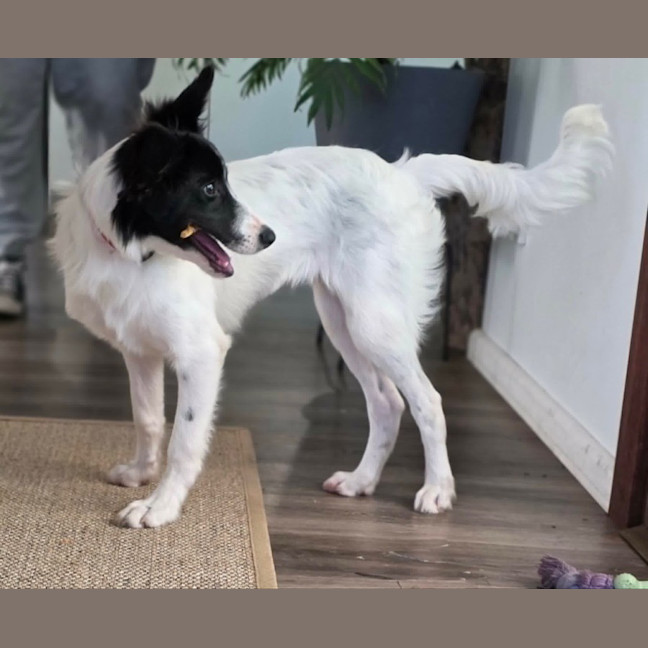 Photo of Annie 