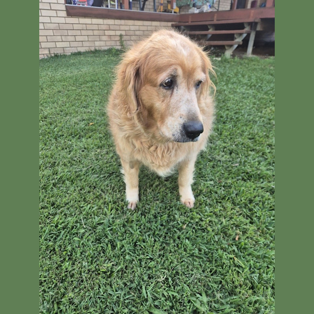 Photo of Lola