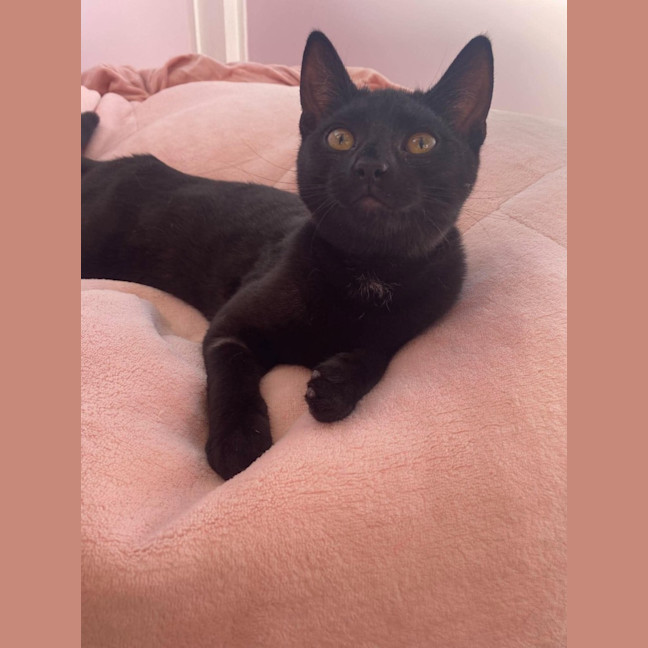 Photo of Daenerys