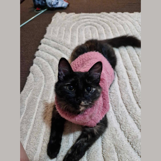 Photo of Annie 