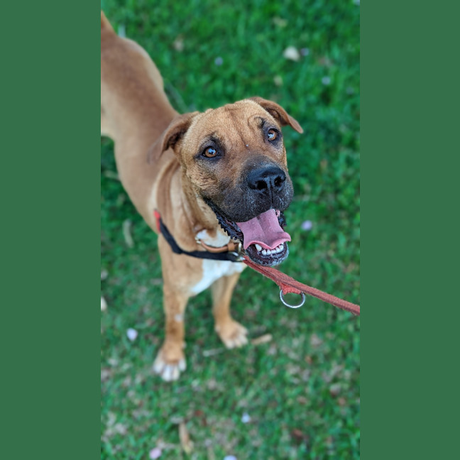Photo of Ruby