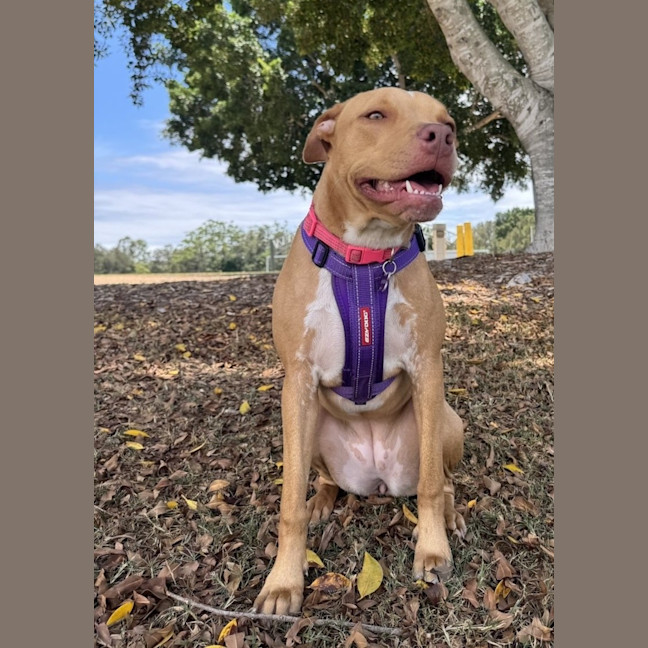 Photo of Polly