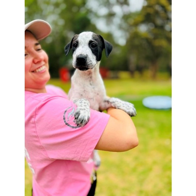 Photo of Benchwarmer