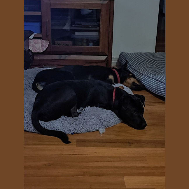Photo of Zara