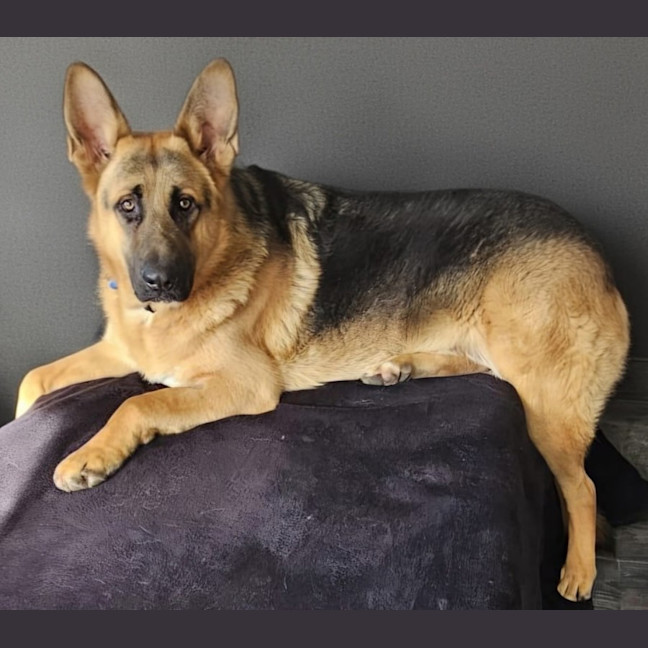 Photo of Jericho