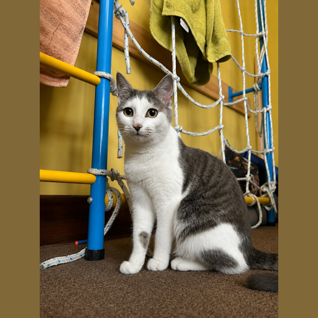 Photo of Annie