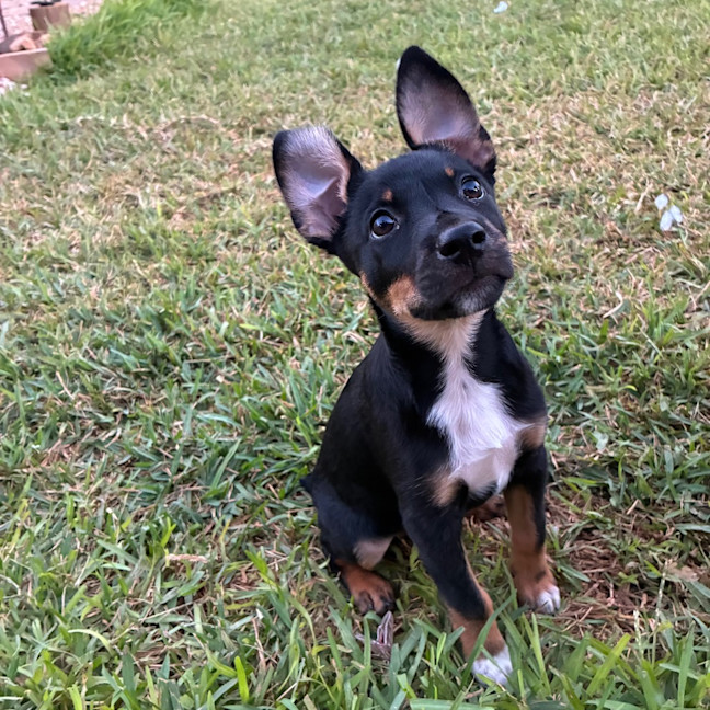 Photo of Parker