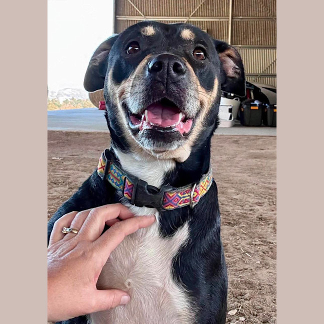 Photo of Tess