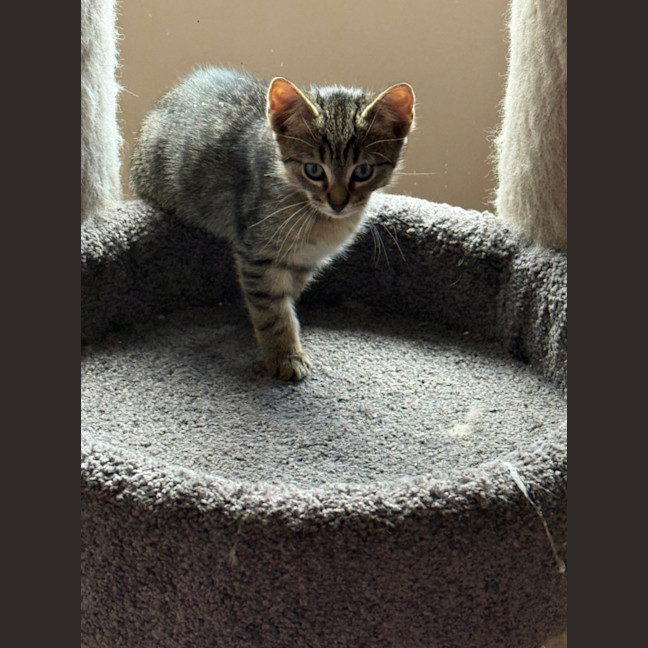 Photo of Zach   Meet Me At Petstock Hastings
