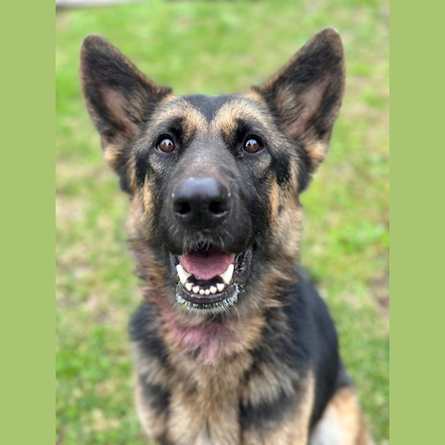 Photo of Maggie