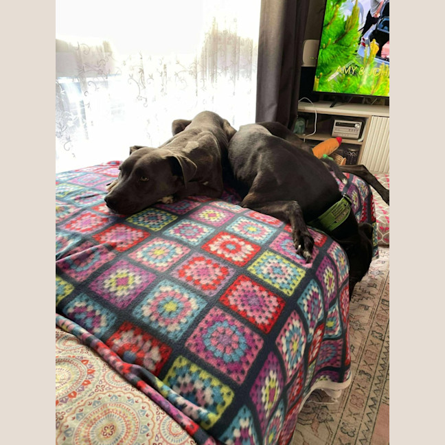 Photo of Bonnie