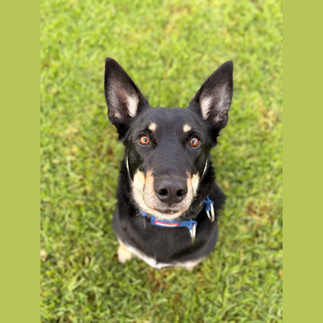 Photo of Huzi