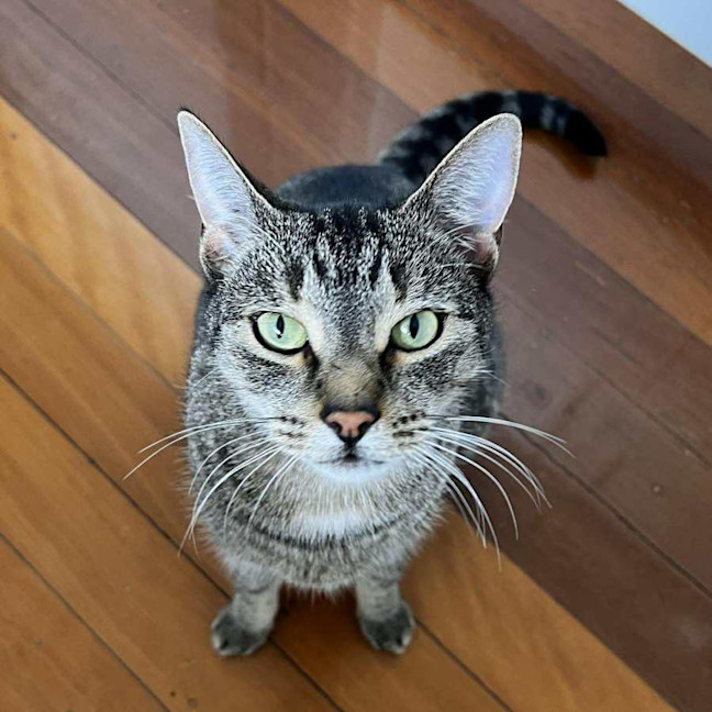 Photo of Ben