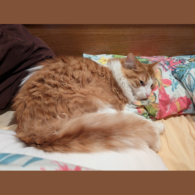 Photo of Jasper