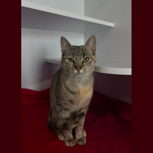 Photo of Sally