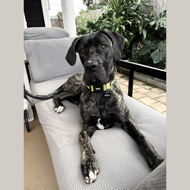 Photo of Freya