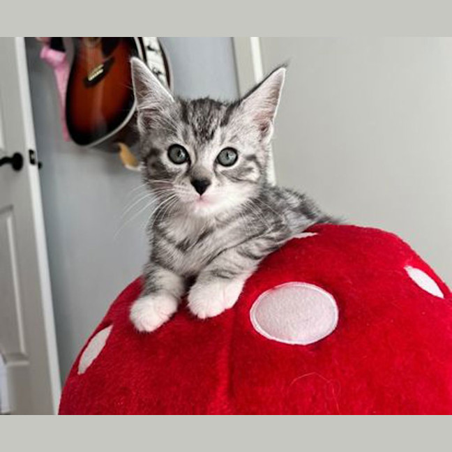 Photo of Bubbles