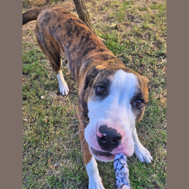 Photo of Bingo