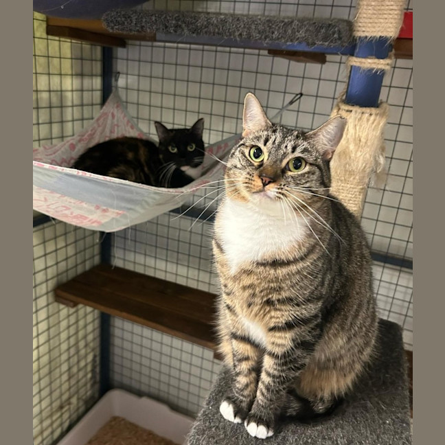 Photo of Prue & Trude