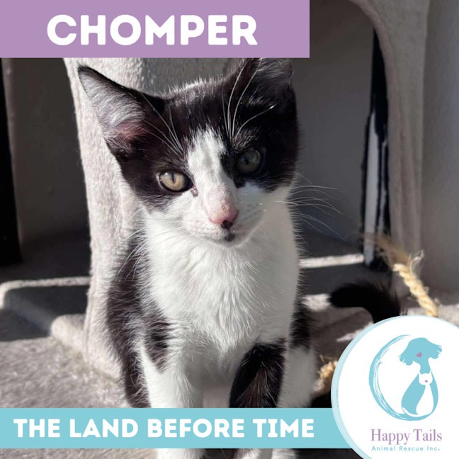 Photo of Chomper