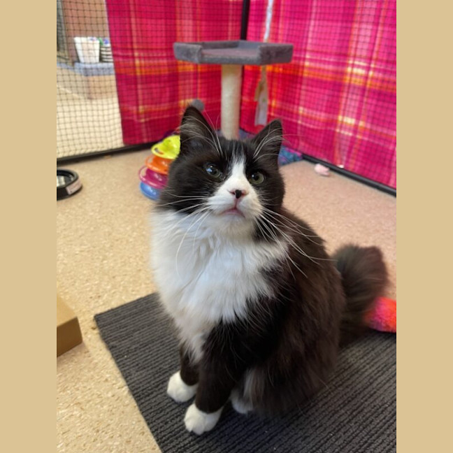 Photo of Syd Barrett Nee Murray