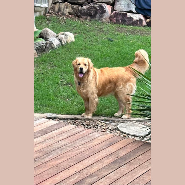 Photo of Eddie