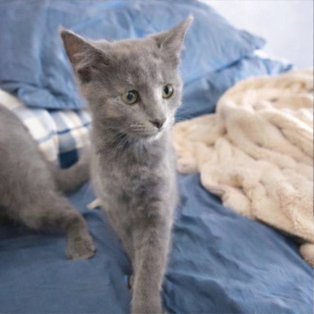 Photo of Islay And Arran 🌷